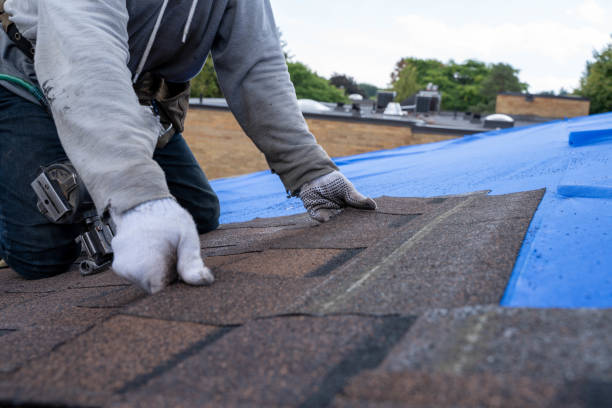 Best Roof Restoration Services  in Mcmillin, WA